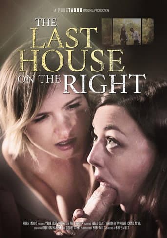 The Last House on the Right poster