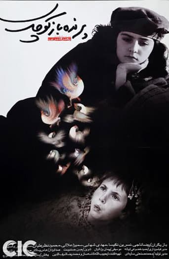 The Little Bird Boy poster