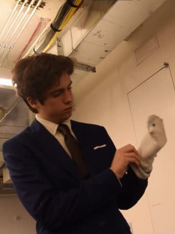 The Puppet poster