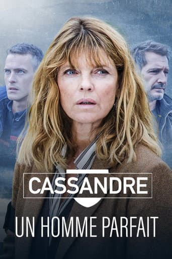 Cassandre - Un homme parfait poster