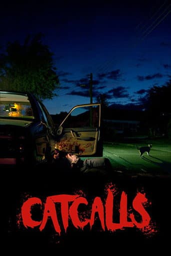 Catcalls poster
