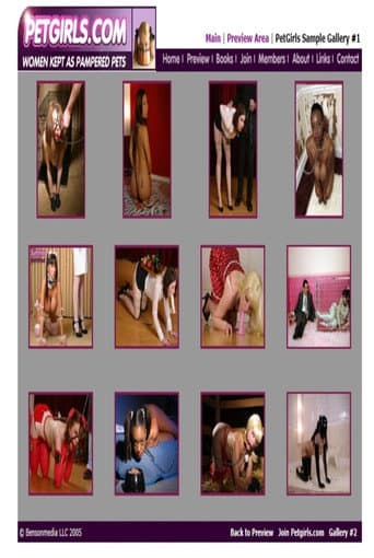 Petgirls 2: Her Life as a Pet poster