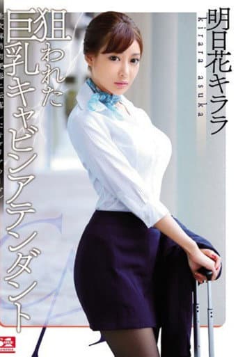 The Big-Titted Cabin Attendant is Targeted poster