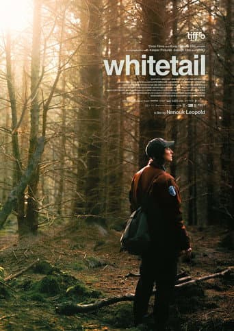 Whitetail poster