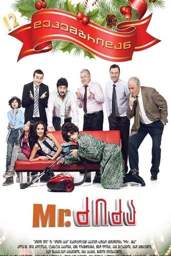 Mr. Nanny poster