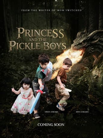 Princess and the Pickle Boys poster