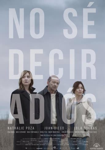 Can't Say Goodbye poster