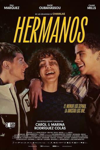 The Gang poster