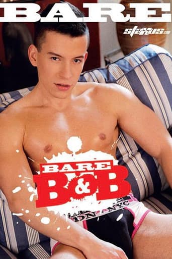 Bare B&B poster
