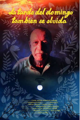 La tarde del domingo también se olvida poster