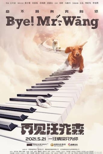Bye, Mr Wang! poster