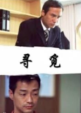 寻觅 poster