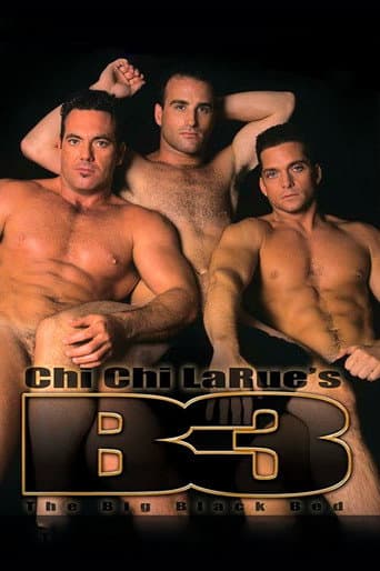 The Big Black Bed poster