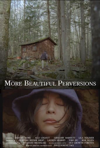 More Beautiful Perversions poster