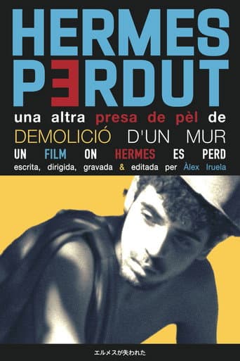 Hermes Perdut poster
