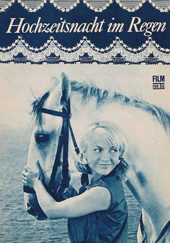 Wedding Night In The Drizzle poster