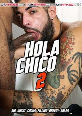Hola Chico 2 poster