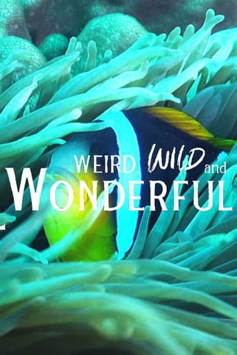 Weird, Wild, and Wonderful poster