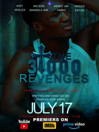 The 3,000 Revenges poster