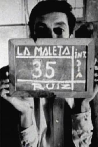 The Suitcase poster