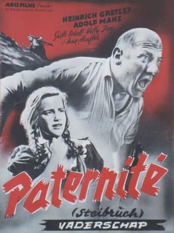 Steibruch poster