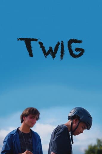 Twig poster