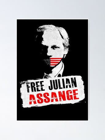Julian Assange: Chronik einer Spionageaffäre poster
