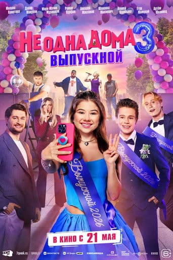 Home Not Alone 3 poster
