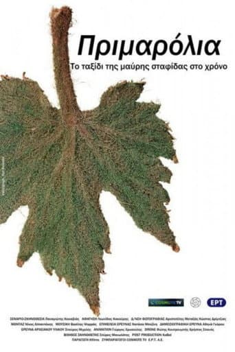 Primarolia poster
