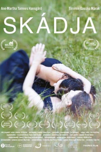 Skádja poster