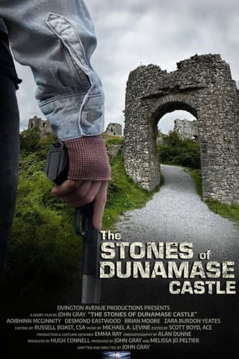 The Stones of Dunamase Castle poster