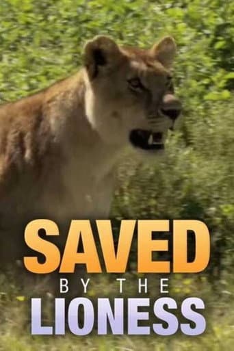 Saved by the Lioness poster
