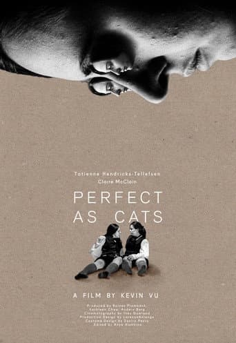 Perfect as Cats poster