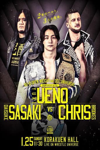 DDT Mission in Battle ~new year splendor~ poster