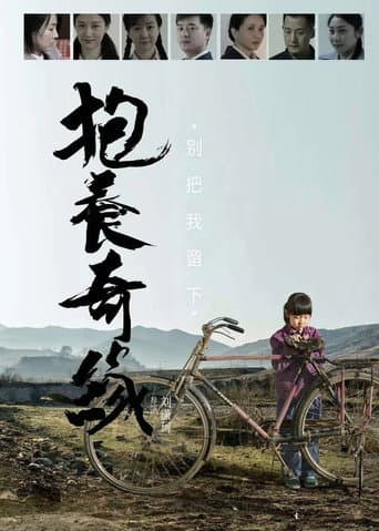抱养奇缘 poster