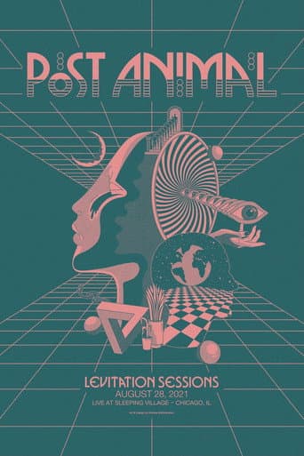 Post Animal - Levitation Sessions poster