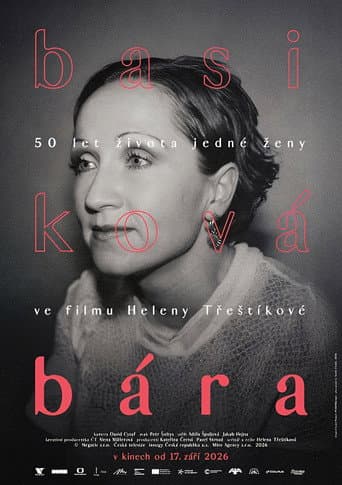 Bára - Diary of a Rockstar poster