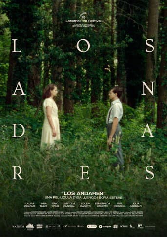The Wanderers poster
