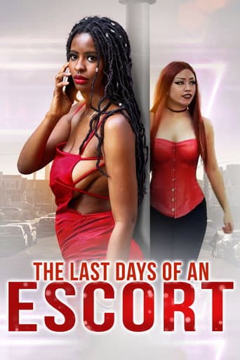 The Last Days of an Escort poster