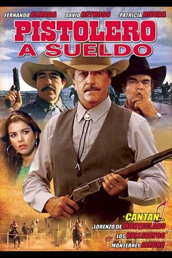 Pistolero a sueldo poster