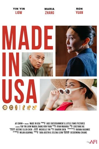 Made in USA poster