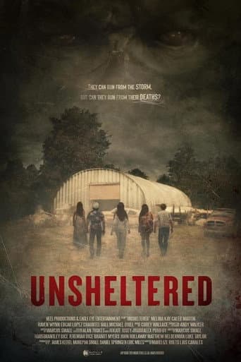 Unsheltered poster