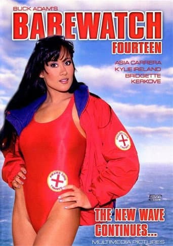 Babewatch 14 poster