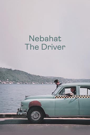 Nebahat The Driver poster