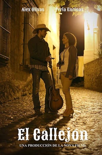 The Alley poster