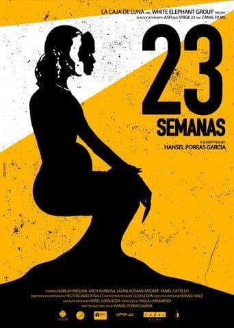 23 Semanas poster