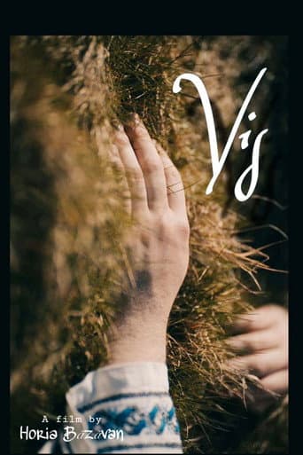 VIS poster