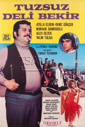 Tuzsuz Deli Bekir poster
