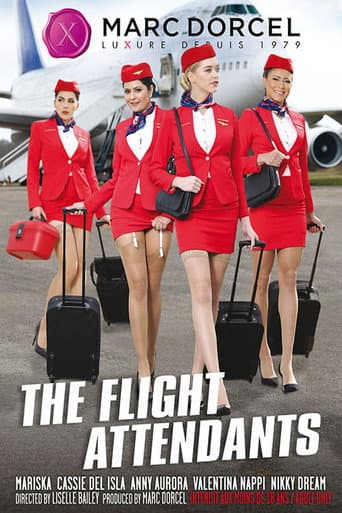 The Flight Attendants poster