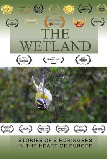 The Wetland poster